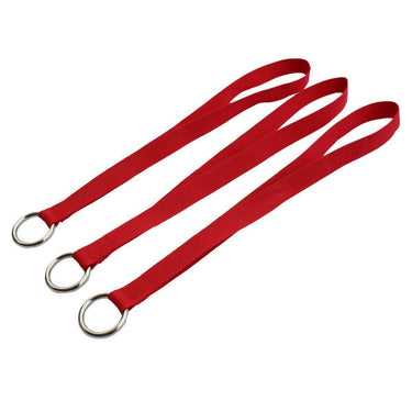 Long Loop Door Hinge Anchor  Set of 3. Includes ring for clips. Fits around bars, small trees, poles and more.